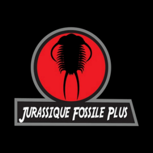 Jurassique Fossile Plus
