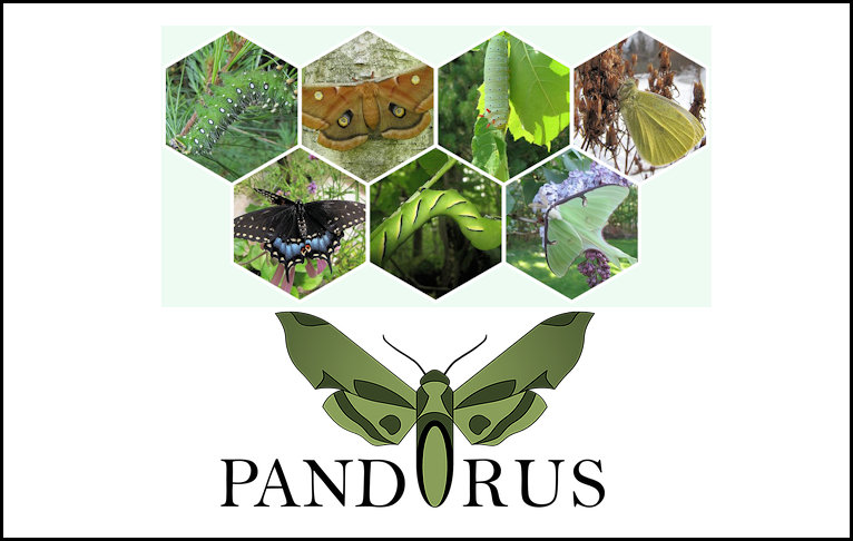 Pandorus Butterfly Farm, Ste-Julienne, Québec